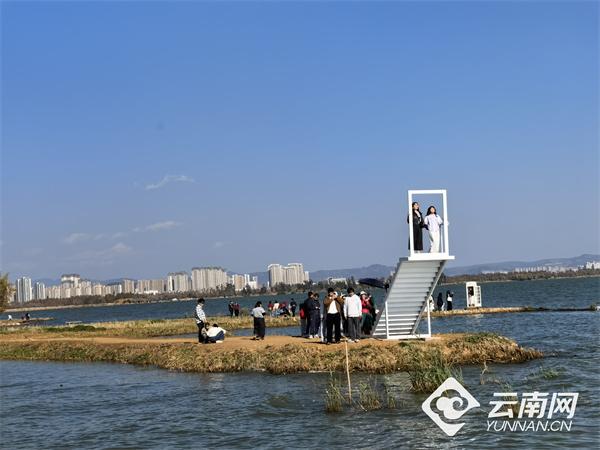 昆明“日落山海农场”成春节打卡新地标