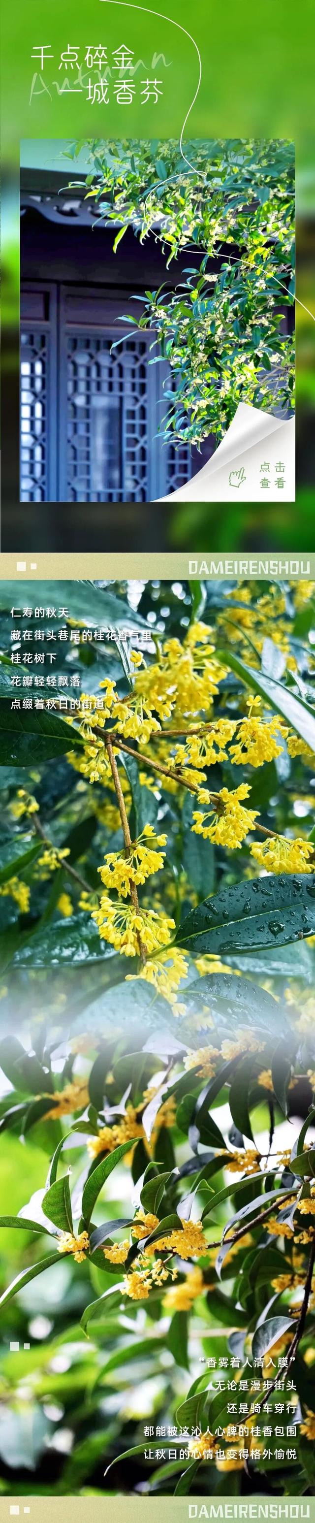 秋日预告，仁寿的绝色在这里集齐了