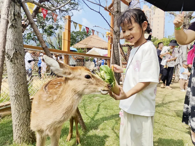 来闽侯，过福年！非遗、国潮……嗨玩不停！