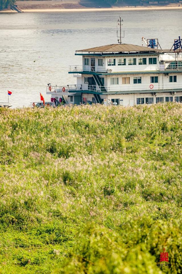 寒潮倒计时！再不来就迟了