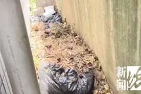 “吐了!” 沪一小区被扔神秘黑塑料袋，散发恶臭图片