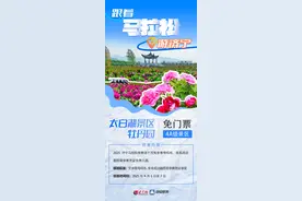 跟着马拉松游济宁丨太白湖景区牡丹园免门票攻略来啦图片