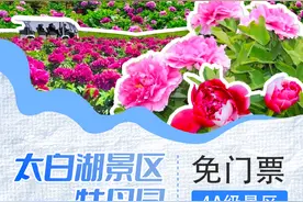 跟着马拉松游济宁丨太白湖景区牡丹园免门票攻略来啦图片
