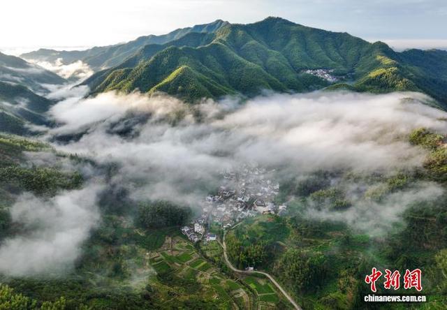 安徽黟县：雨后竹海云雾缭绕似仙境