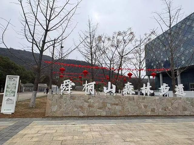 “森”呼吸！惠山区两条省级森林步道，就在......