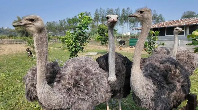 这么近，这么美，打卡来钦北！