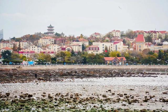 全运“五金王”张展硕，邀您冬游青岛~