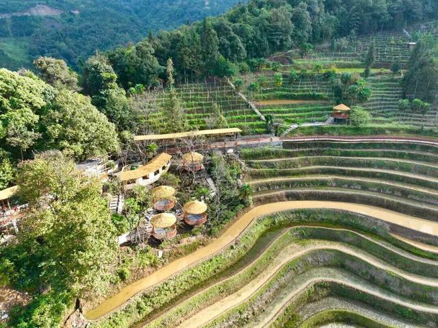 错过等明年，红河冬日“顶流”哈尼梯田上线