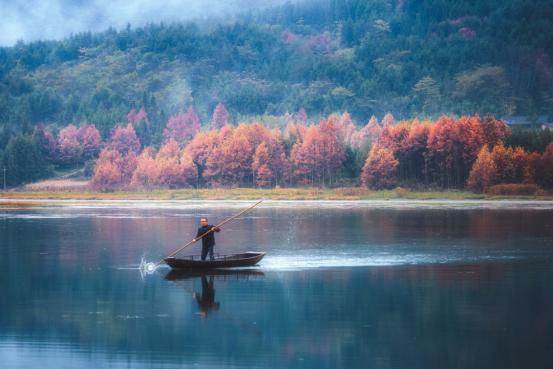 乐山秋日限定最后一波：红叶漫山处，林海踏秋时