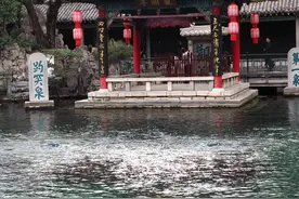 济南趵突泉地下水位降到28.13米，比去年同日低了25厘米图片