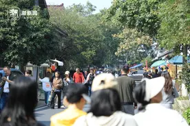 香是超级香，人也是超级多：桂花香柿子红，杭州满觉陇真的“顶流”了图片