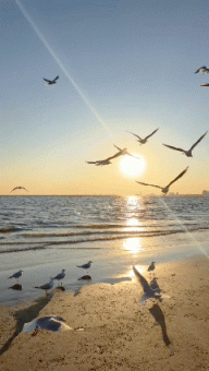 一起出发，从北京坐着火车去看海鸥！