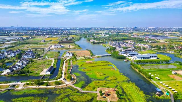 2025年金山十大新闻你来定！