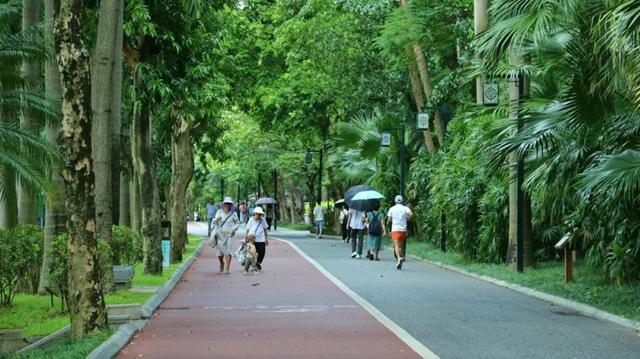 畅游＋避暑两不误！南宁“绿野仙踪”清凉图鉴→