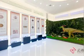 高质量发展调研行|“中医药+康养文旅” 文山再掀跨界新风图片