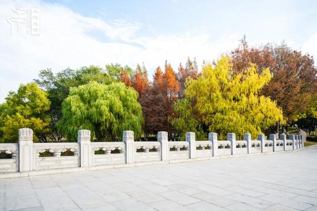 秦淮citywalk｜七桥瓮湿地公园