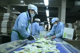 市州观察丨广元预制菜能出哪些“特色菜”？图片