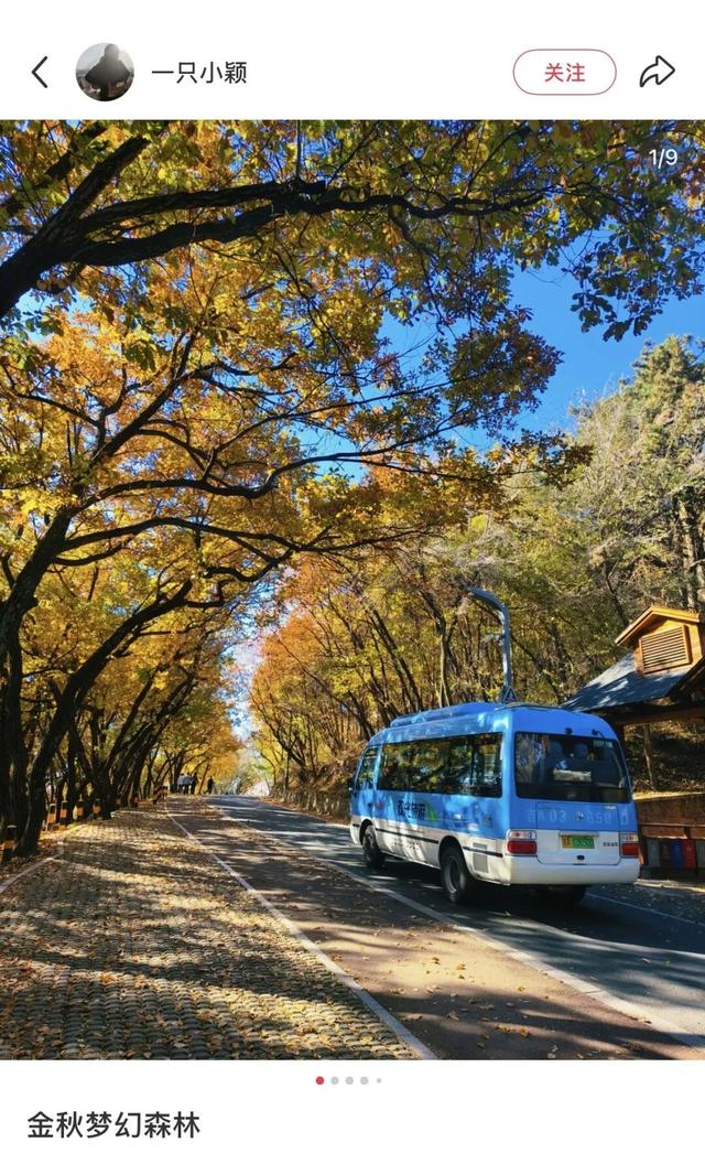 十一月 你好！十一月 期待！