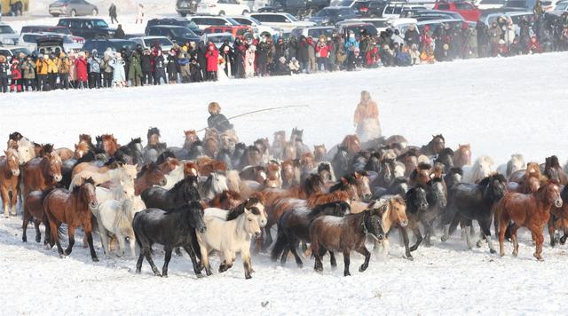 2026年乌兰布统马文化节开幕