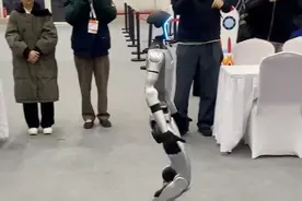 宇树科技亮相开发者先锋大会：人形机器人牵绳遛起机器狗图片