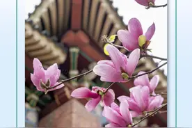早参｜全运年广州将举办逾500场赛事活动；油价下调，加满1箱油将省11元图片