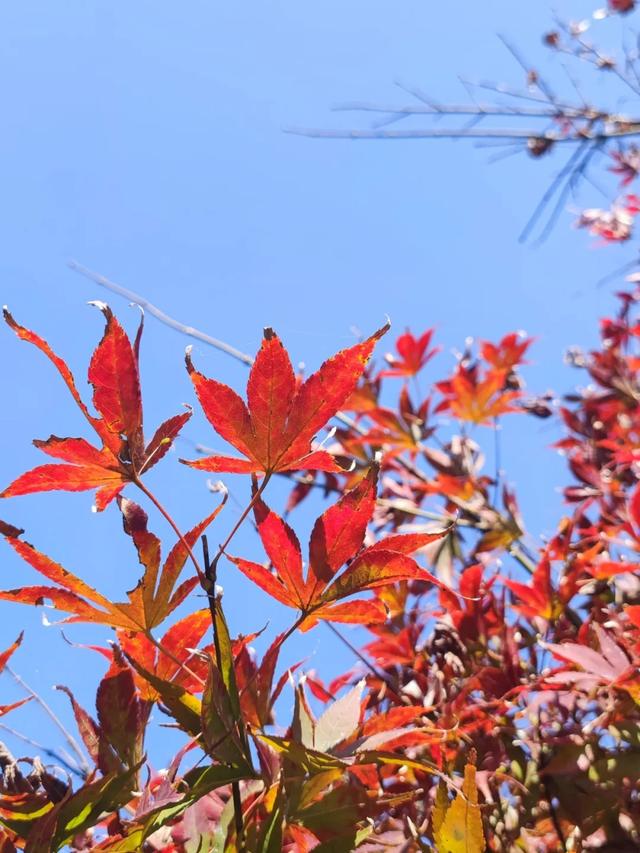 现在的黔南，已经美成这样了→