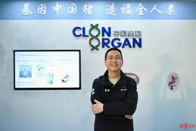 奔跑吧成都｜中国首例体细胞克隆猪完成人，专注“成都造”异种器官移植图片