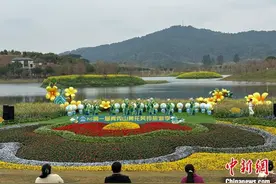 广西南宁青秀山首届黄花风铃旅游季启幕图片