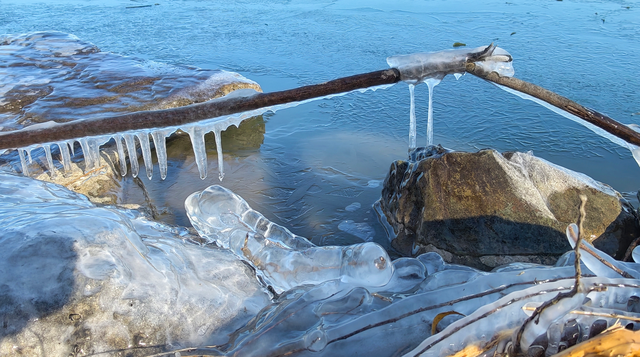 冬日颐和园：昆明湖冰裹树枝，宛如水晶雕塑