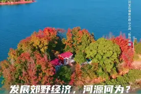 晨观山海｜发展郊野经济，河源各地有何经验做法？图片
