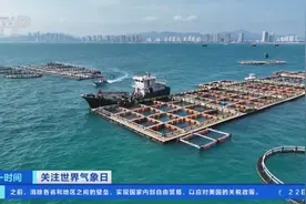 从选址到投苗，精准化气象服务“护航”广东湛江金鲳鱼养殖图片