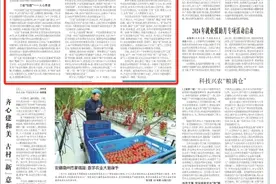 央媒观豫丨“星”耀莘川 振兴可及图片