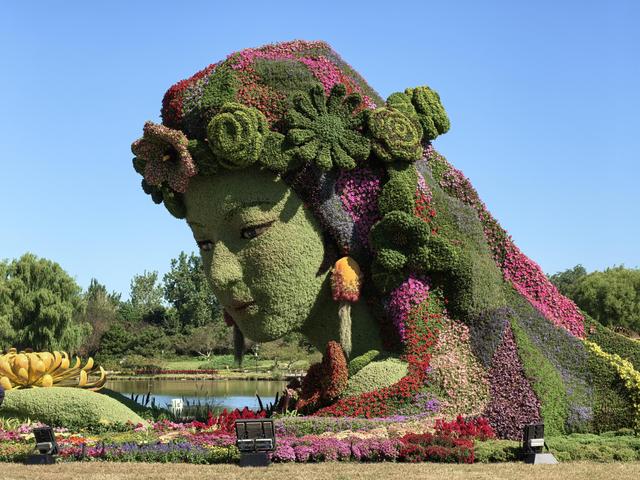 北京国际鲜花港10万平方米花海盛放，国庆增加绚丽夜场