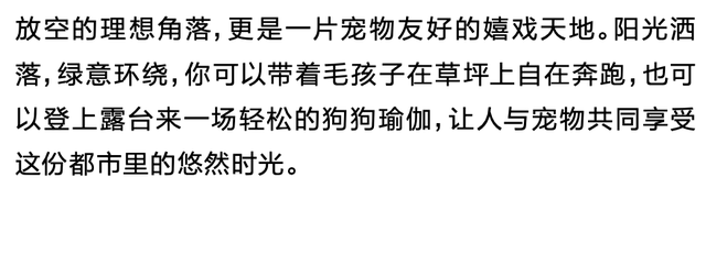秋日露台主义正当时，看一场夕阳落进梧桐海