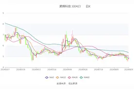 昇辉科技：2024年上半年盈利1191.91万元 同比扭亏图片