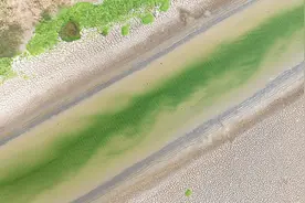 一周看天下丨墨西哥：干旱的帕茨夸罗湖图片