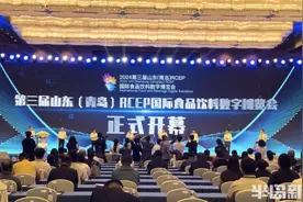 蜂蜜糖、红薯汁、低氘水……各类特色食品齐聚一堂！2024第三届山东（青岛）RCEP国际食品饮料数字博览会开幕图片