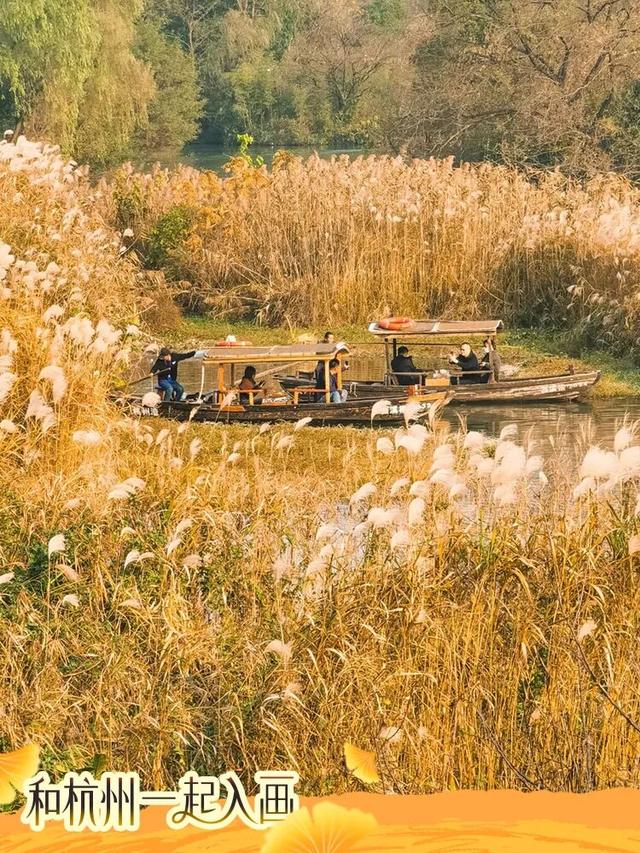 秋冬盛宴来袭，6条宝藏线路玩转杭城！