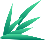 【新安夜空】第285期｜安宁：奥地利印象