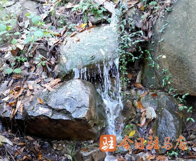 初冬金顶山：红叶染层林 漫山披盛装