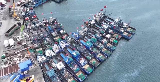 辽宁海参多少钱一斤 2026年辽宁大连海参多少钱一斤