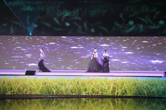 2025年白沙“啦奥门”雨林与您山兰文化活动启幕