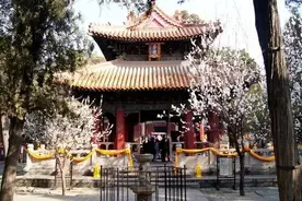 孔子：当老师，我是认真的图片