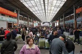 春茶上市交易升温 茶旅项目同步推出图片