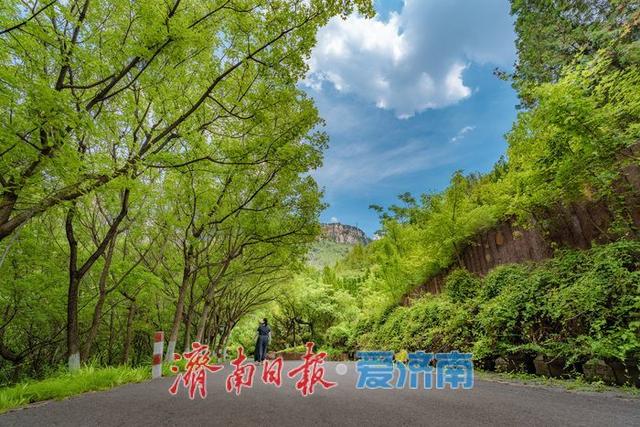 一年四季 泉在济南丨红叶谷打造全新露营地，解锁花间旅游新玩法