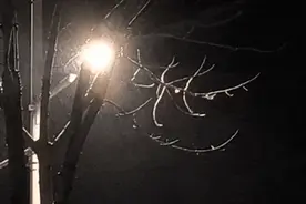 冰城飘雪 气温小幅度回升 #超多美图的天气预报图片