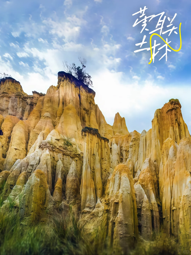 冬游凉山 | 被阳光吻醒的冬天