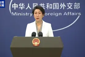 外交部：将继续为维护中东的和平稳定发挥建设性作用图片