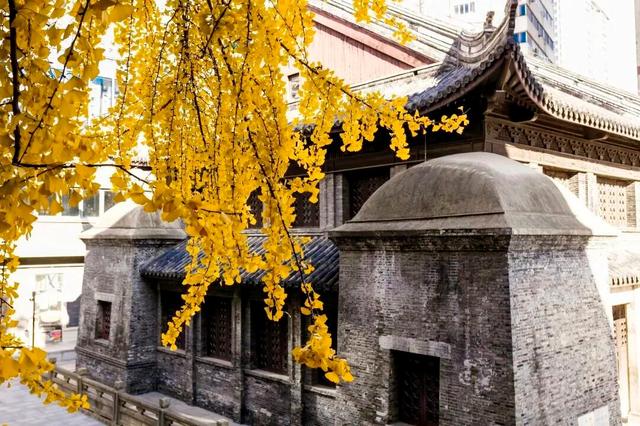 限时绝美！此刻，常州颜值巅峰