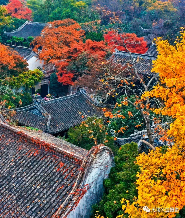 阿锡，赏秋正当时，你我皆风景！